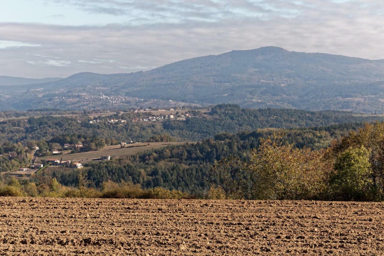 Gite De Sauviat 25 Chemin Du Grand Pacher Le Bourg De Sauviat 63120 Buitenkant foto