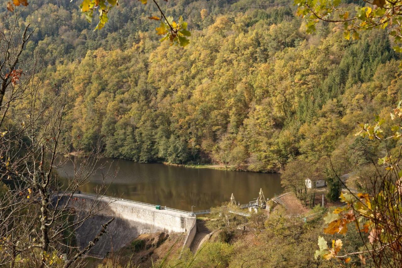 Gite De Sauviat 25 Chemin Du Grand Pacher Le Bourg De Sauviat 63120 Buitenkant foto